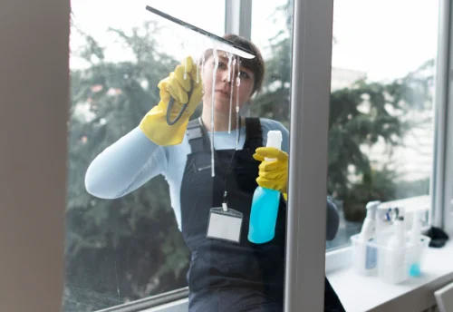 Nettoyage de vitres intérieures et extérieures à Savoillan